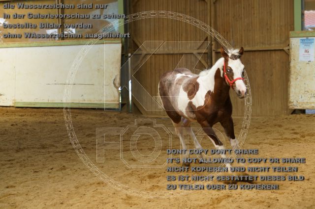 a_K3F03837.JPG